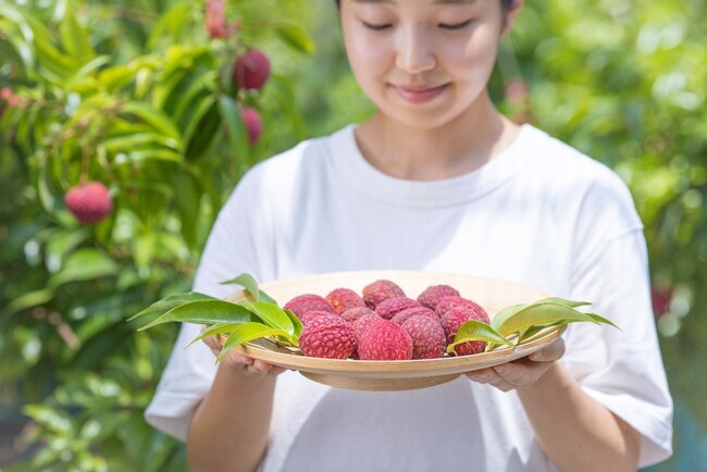 宮崎発の国産有機ライチ＆マンゴー　いちごポタジェ、完熟果実の夏ギフトお得な先行予約を開始