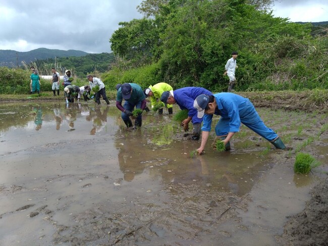 【福島県浪江町】営農再開へ向けて!! 「令和8年度 津島地区水稲試験栽培(田植え)」を実施します。