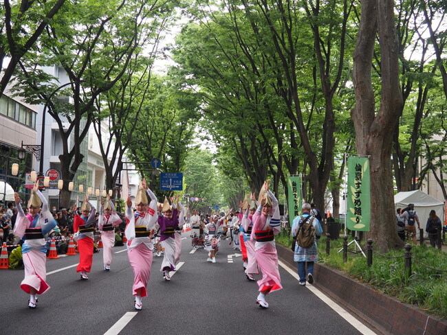 徳島市阿波おどり親善訪問団が「仙台・青葉まつり」で阿波おどりを披露！！
