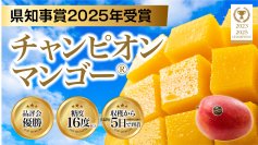 【台湾の至宝】プロジェクト開始5分で目標達成！台湾育ちの日本人が人生を捧げる「チャンピオンマンゴー」がMakuakeで3383％超の支持を獲得