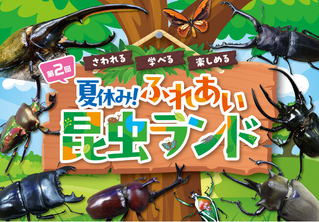 夏休みにピッタリ！　“さわれる・学べる・楽しめる 昆虫展”　「第2回　夏休み！ふれあい昆虫ランド」7月29日（水）～ 8月17日（月）星ヶ丘三越