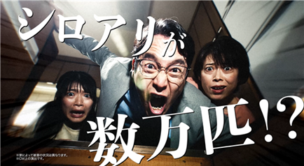 アサンテ、春のシロアリのスウォーム（群飛）シーズンにシロアリ対策の必要性を伝える新テレビＣＭをオンエア中