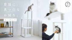 愛猫、城に住む。
くつろぎも、爪とぎも、遊びも、この“しろ”一台で！
真っ白なキャットタワー「ねこのしろ」新発売