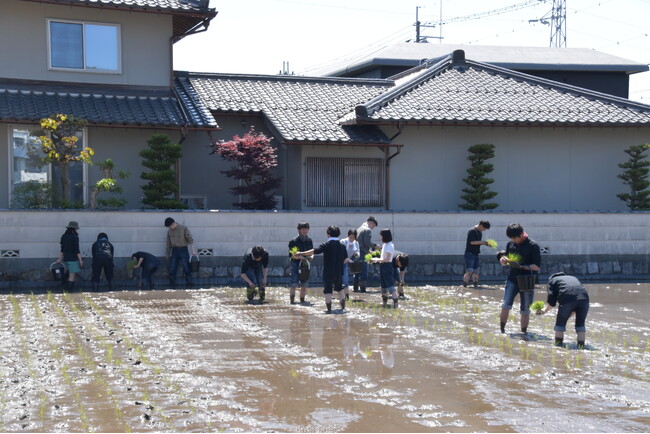 建設会社が「田植え」で早期離職を防止!?新卒の心理的安全性を高める研修を5月に実施