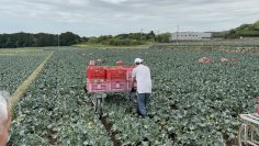 農業現場の声から生まれた電動台車― ブロッコリー収穫後の運搬負担を軽減 ―産学官地連携による開発成果を農業WEEK(JAGRI)九州で展示