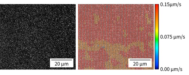 スラリー中のサブミクロン粒子の乾燥挙動を可視化する技術を開発しました