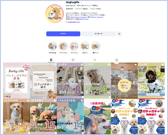 【Dog Hug Life】Instagramの累計閲覧数が120万PVを突破！フォロワー以外へのリーチも拡大、過去3ヶ月で約64万PVを達成