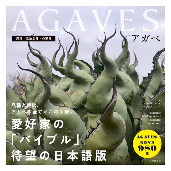 世界中のアガベ愛好家が待ち望んだ “決定版” 、ついに日本上陸！全980枚の圧巻写真と濃密解説で原種・栽培品種を完全網羅した『AGAVES アガベ』5/20発売
