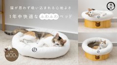 愛猫に衛生的で快適な空間を。
バリバリボウルとの組み合わせで
“モフモフくつろげるベッド”に変身！
4wayベッド「モフリング」5月20日新発売