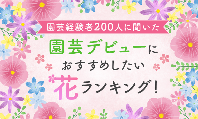 【園芸経験者200人に聞いた】園芸デビューにおすすめしたい花ランキング!