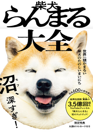 「国宝級のかわいさ」と話題の柴犬らんまるが待望の書籍化！