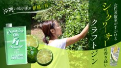 国際通りの小さなクラフトジン蒸留所から、勝山シークヮーサーの香りを閉じ込めた新商品「F1ジン(ファーストワン) タートルグリーン」誕生　クラウドファンディングMakuakeにて先行リリース決定！！