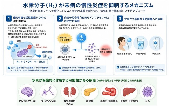 低濃度水素が「未病」の慢性炎症を抑制する可能性｜MiZ・UC Berkeley・慶應義塾大学 総説