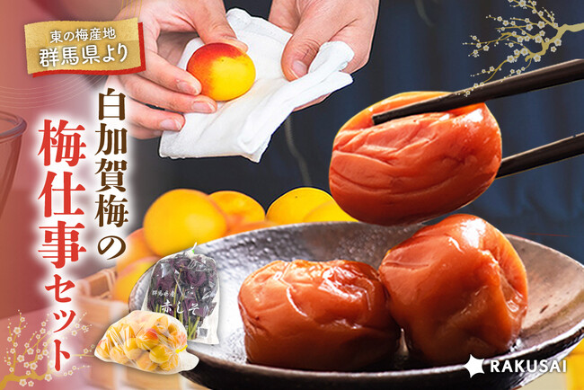今年の初夏は“マイ梅干し”作りに挑戦！白加賀梅の『梅仕事セット』（群馬県産）