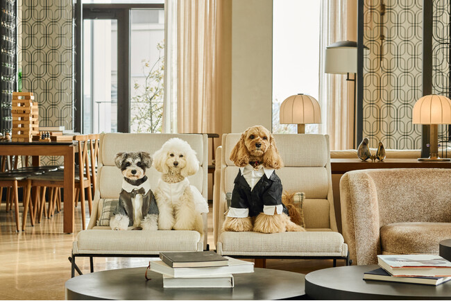 「キンプトン新宿東京」で実現できるペットウエディング「ベスト-アニバーサリー」が愛犬専用衣装レンタルサービスを2026年5月より開始