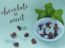 チョコ味とほんのりミントの組み合わせ チョコ味とほんのりミントの組み合わせ