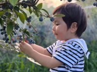都心から最も近い自然湖沼　千葉・手賀沼周辺で“農”の豊かさを味わうスポット5選を紹介