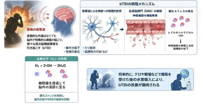 低濃度水素吸入が爆風由来TBIのうつ・社会性障害を抑制|MiZ・防衛医科大学校 共同研究