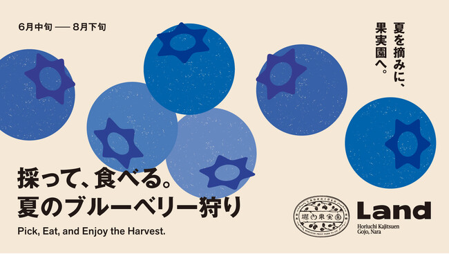 採って、食べる。夏のブルーベリー狩りを堀内果実園で開催