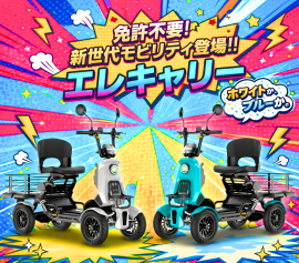 エレキャリーのイメージ画像 エレキャリーのイメージ画像