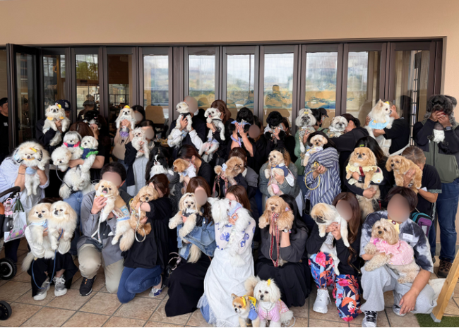 Dog Hug Lifeが「鼻ぺちゃ学園しゃくれ部 春のオフ会」を取材｜Barky Bitesトリーツ協賛でイベントを応援