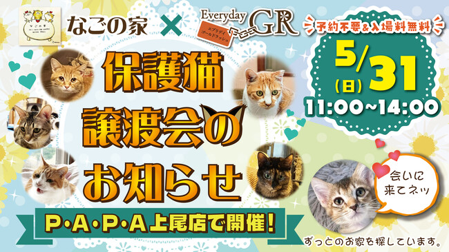 エブリデイゴールドラッシュPAPA上尾店で初開催！