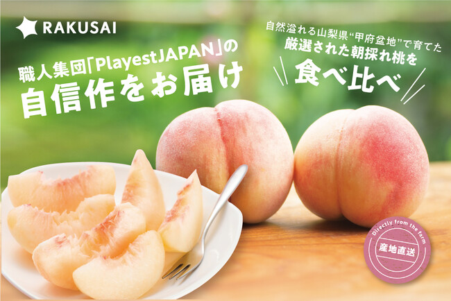 毎年完売の産直人気シリーズ！Playest JAPANさんが作る『朝採れ桃 食べ比べ』セット