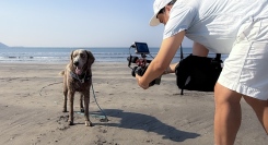 海外のドッグフレンドリー文化から生まれた新ブランド――愛犬との時間を映像作品に残す「with WAN」、6月1日より予約受付開始