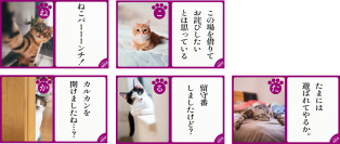 愛猫の心も体も満たせる「カルカン（R） やわらかパテ」の魅力が詰まったWeb CM「よろこびの一皿 無添加パテ」篇を6月1日より配信開始