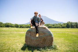 牧草ロールと羊蹄山を独り占め 牧草ロールと羊蹄山を独り占め