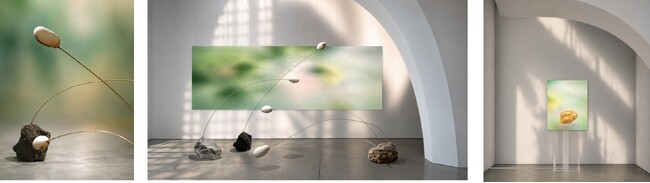 美術作家・内藤 愛氏 作品展「午時葵の子守唄 A Lullaby for Cistus」ポーラ ギンザにて2026年6月2日（火）～8月3日（月）開催