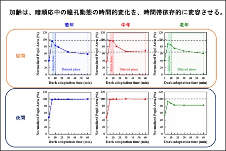 【摂南大学】暗闇適応時の瞳孔反応は時間帯や加齢で変化