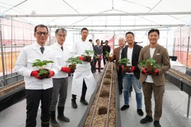 「誰もが関われる農業」を、湯布院から 「Honda Sun × ENOWA FARM LAB」プレスプレビューを開催 「誰もが関われる農業」を、湯布院から 「Honda Sun × ENOWA FARM LAB」プレスプレビューを開催
