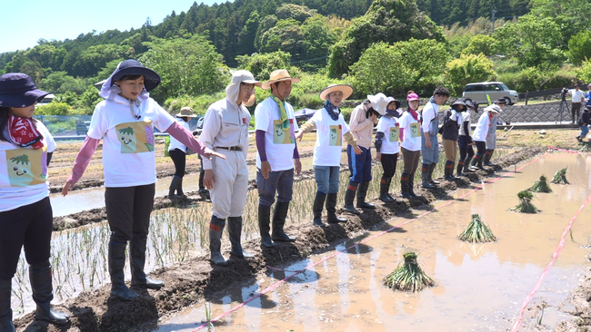 【ＢＳ日テレ】なおみ農園～大分・国東半島に江戸時代から伝わる幻の植物「七島藺」を植え付ける！～６月４日（木）よる１０時放送
