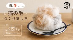 “猫の毛みたいな”わたあめ「おいしすぎる猫の毛」発売
6月4日「猫ハグの日」に向け
猫愛が深すぎて作っちゃいました