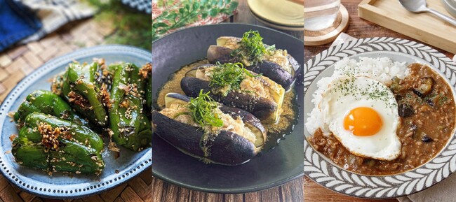 好きな夏野菜ランキング第1位は「なす」！一方で、半数以上が「傷みやすさ」、約3割が「野菜くずの多さ」にストレスを感じていることが判明