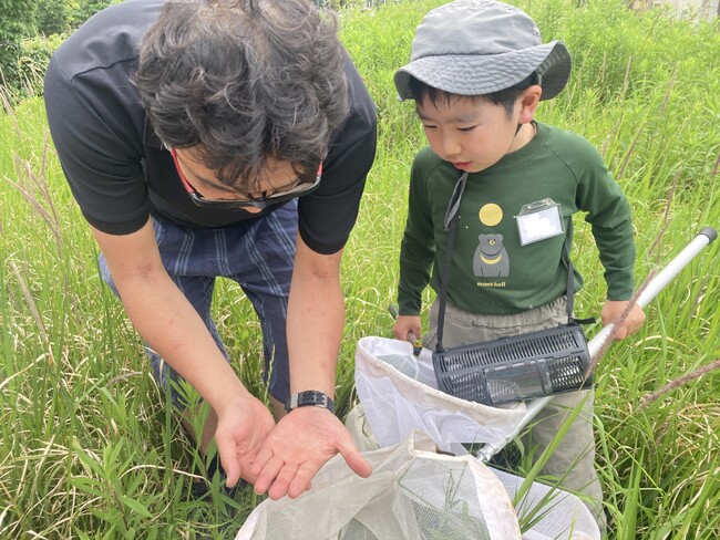 【こどもの休日の過ごし方】7/12出発 ファーブル昆虫教室in二子玉川【昆虫研究編】