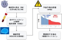 血中サイトカイン情報から小児心筋炎の病態を予測する機械学習モデルを開発