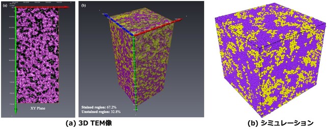 コンタクトレンズ材料設計システム 『SilicoSim(シリコシム)』を開発