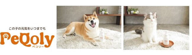 犬・猫向け総合ケアブランド「PeQoly(ペコリー)」インターペット大阪2026へ初出展！