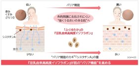 ノエビアグループ、九州産丸大豆「ふくゆたか」の『豆乳由来高純度イソフラボン』が肌のバリア機能を強化することを解明