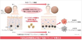研究成果の概要 研究成果の概要