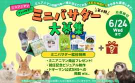 第4期ミニバサダー大募集! 第4期ミニバサダー大募集!