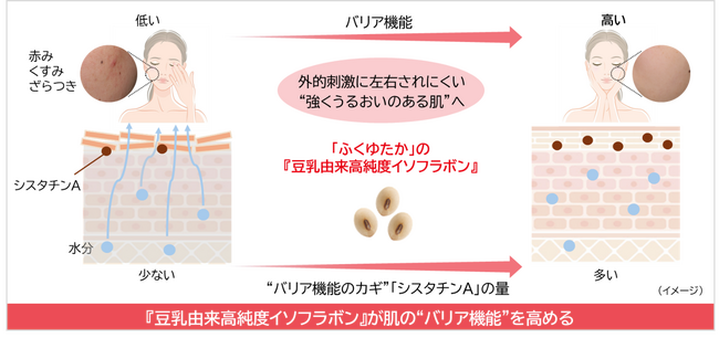 ノエビアグループ、九州産丸大豆「ふくゆたか」の『豆乳由来高純度イソフラボン』が肌のバリア機能を強化することを解明