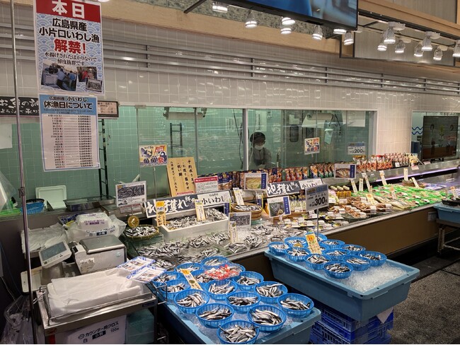 広島の夏の風物詩「小いわし漁」2026解禁