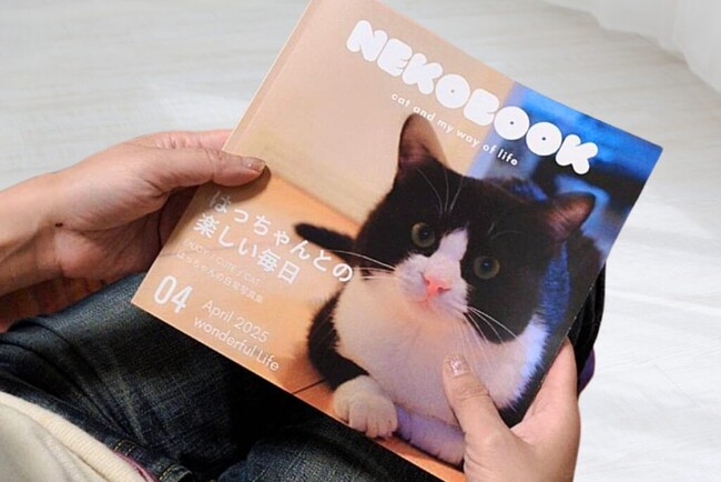《ペットロスを乗り越える力になりたい》社員猫との別れをきっかけにはじまった「ペット専用セミオーダー出版サービス」の誕生ストーリーを公開