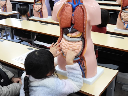 【新潟医療福祉大学】５歳～小学生の参加者募集！７月～9月に実験教室『わくわくサイエンススクール』を開催！