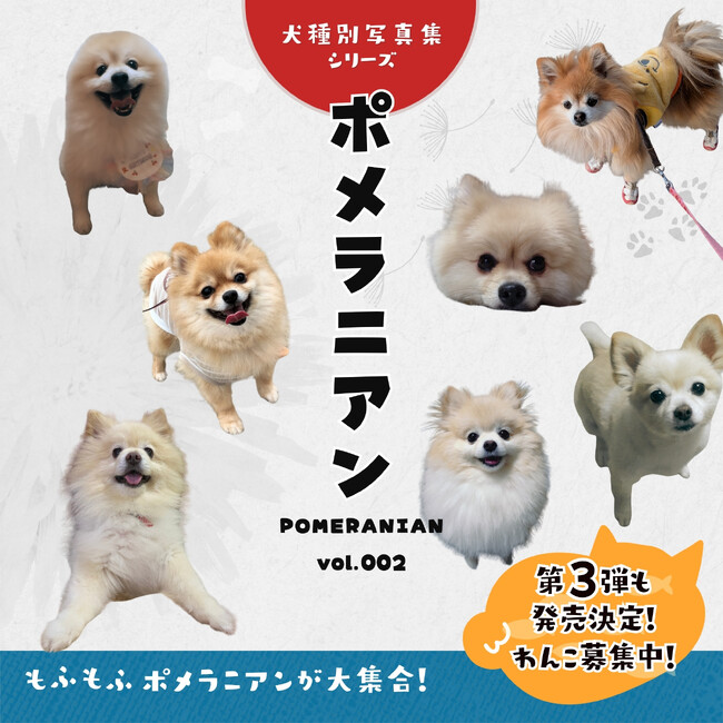 うちのポメラニアンの写真が本として出版される！犬種別写真集シリーズ『ポメラニアンvol.002』発売＆早くも第3弾の募集開始！