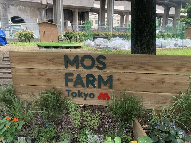 【板橋区×モスバーガー】　高島平緑地で手ぶらで楽しく農業体験！「MOS FARM Tokyo 高島平農園」をオープン！