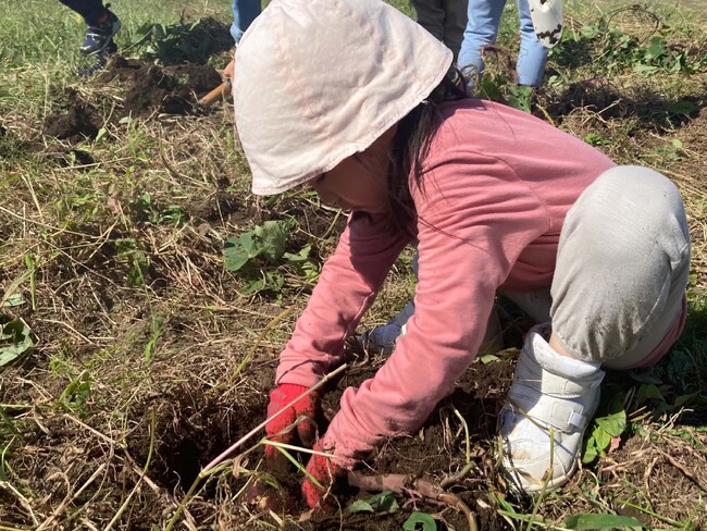 千葉・長生村でAI時代の子供たちが、夏至の光で育った夏野菜を収穫します